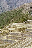 Chinchero, Incan terraces 